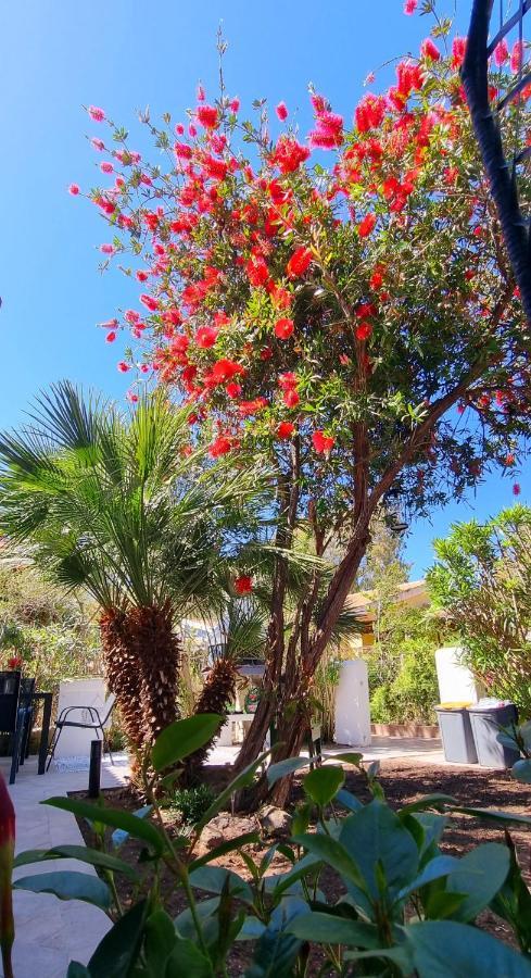 La Villetta Tre Palme Valledoria  Dış mekan fotoğraf