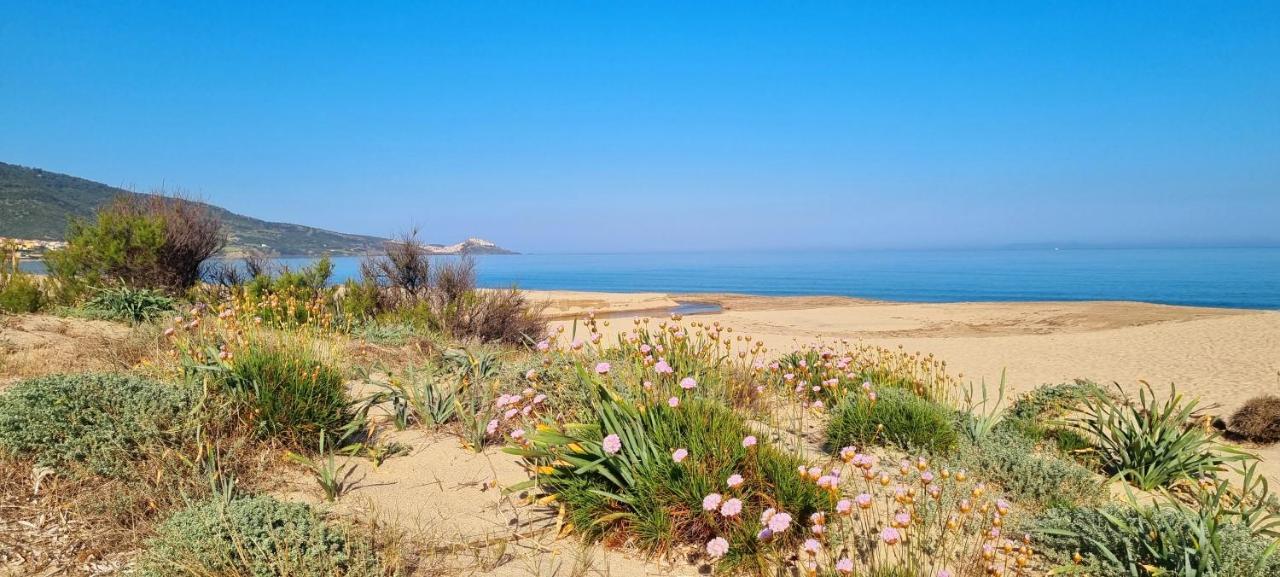La Villetta Tre Palme Valledoria  Dış mekan fotoğraf