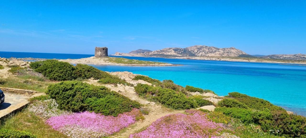 La Villetta Tre Palme Valledoria  Dış mekan fotoğraf